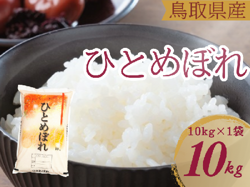 米 ひとめぼれ 10kg 鳥取県産 こめ 精米 10キロ 令和6年産 送料無料 1054 1480758 - 鳥取県江府町