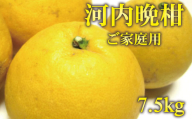 柑橘 フルーツ 果物 [2025年4月発送][和製グレープフルーツ]有田育ちの河内晩柑(ご家庭用) 約7.5kg※北海道・沖縄・離島配送不可 / 和歌山 ミカン みかん オレンジ 柑橘 フルーツ 果物 旬[ard029B]