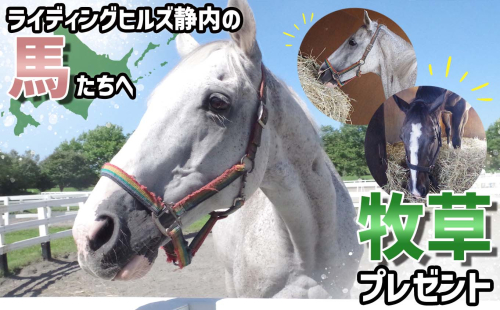 競走馬のふるさと 北海道 新ひだか町 ライディングヒルズ静内 馬 への 牧草ロール プレゼント 静内 うま サラブレッド ポニー 引退馬 1480858 - 北海道新ひだか町