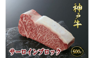 A5等級神戸牛(神戸ビーフ)ブロック肉 サーロイン 500g[神戸牛専門店 神戸ぐりる工房]