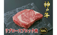 A5等級神戸牛(神戸ビーフ)ブロック肉 リブロース 500g[神戸牛専門店 神戸ぐりる工房]