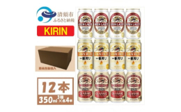 キリンビール一番搾りビール 4本 キリンラガービール 4本 キリンクラシックラガービール 4本3種類を詰め合わせました。●清須市について清須市は、東海地方愛知県の西部、尾張平野のほぼ中央に位置し、南部