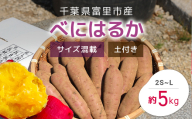 【2024年11月以降発送】千葉県富里市産　べにはるか　5kg　サイズ混載　土付き TMH004 / さつまいも サツマイモ  紅はるか べにはるか おさつ 甘藷 唐いも あまい 甘い スイーツ スイート ポテト おやつ 焼き芋 千葉県 富里市