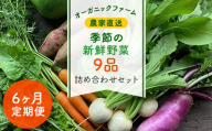 【6ヶ月 定期便】農家直送！【栽培期間中農薬不使用】季節の新鮮野菜「９品」詰め合わせセット オーガニックファーム AIBA FARM TML003 / 野菜セット 無農薬 野菜 千葉県 富里市 直送野菜 お野菜セット 旬野菜 季節野菜 農家直送 採れたて とれたて やさい 詰め合わせ セット ヤサイ  旬の野菜 季節の野菜 産地直送 詰め合わせ おまかせ 新鮮 オーガニック 農薬不使用