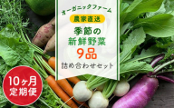 【10ヶ月 定期便】農家直送！【栽培期間中農薬不使用】季節の新鮮野菜「９品」詰め合わせセット オーガニックファーム AIBA FARM TML004 / 野菜セット 無農薬 野菜 千葉県 富里市 直送野菜 お野菜セット 旬野菜 季節野菜 農家直送 採れたて とれたて やさい 詰め合わせ セット ヤサイ  旬の野菜 季節の野菜 産地直送 詰め合わせ おまかせ 新鮮 オーガニック 農薬不使用