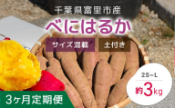 【2024年11月以降発送】【3か月定期便】千葉県富里市産　べにはるか　3kg　サイズ混載　土付き TMH008 / さつまいも サツマイモ  紅はるか べにはるか おさつ 甘藷 唐いも あまい 甘い スイーツ スイート ポテト おやつ 焼き芋 定期便 定期 千葉県 富里市