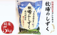 先行予約 令和6年産 特別栽培米 コシヒカリ 5kg 『牧場のしずく』 こしひかり 精米 米 コメ こめ 福島県 鏡石町  F6Q-070