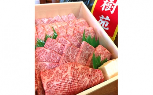 黒毛和牛　上焼肉セット（タレ付き）　500g 148187 - 奈良県広陵町