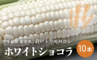 【2025年6月上旬より順次配送】富里産 白いトウモロコシ「ホワイトショコラ」10本【 ふるさと納税 人気 おすすめ ランキング ホワイトショコラ トウモロコシ 白いトウモロコシ 採れたて 産地直送 千葉県 富里市 送料無料 】TME010