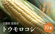 【2025年6月上旬より順次配送】富里産 トウモロコシ 10本 【 ふるさと納税 人気 おすすめ ランキング ホワイトショコラ トウモロコシ 白いトウモロコシ 採れたて 産地直送 千葉県 富里市 送料無料 】 TME011