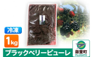 ブラックベリーピューレ 1kg フルーツ 果物