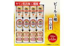 ビール3種類を詰め合わせました。●清須市について清須市は、東海地方愛知県の西部、尾張平野のほぼ中央に位置し、南部は名古屋市中村区、東部は名古屋市西区に隣接、北名古屋市、一宮市、稲沢市、あま市、海部郡に
