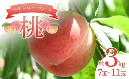 朝もぎたての桃を直送いたします。そのため固めの状態でお届けとなります。やわらかめの桃がお好きな方は、常温でお好みの柔らかさになるまで追熟してお召し上がりください。品種はおまかせとなります。「昴紀」「日