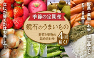 ＼4回届く！季節の定期便／ 鏡石のうまいもの 野菜と果物の詰め合わせ 野菜 果物 フルーツ セット 旬 国産 福島県 鏡石町 F6Q-132