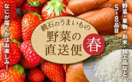 ＜先行予約＞ 鏡石のうまいもの野菜の直送便（春）果物 詰め合わせ つめ合わせ セット 福島県 鏡石町 F6Q-133