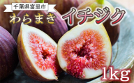 ふるやファーム自慢の絶品「わらまきイチジク 1kg（12～15個）」 TMV001