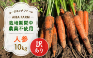 【12月～2月発送】【栽培期間中農薬不使用】訳あり人参１０㎏ オーガニックファーム AIBA FARM Ｂ品 / 野菜 やさい にんじん 人参 ニンジン 名産 特産 甘い 美味しい 訳あり 不揃い B級 オーガニック organic 健康 ヘルシー フードロス AIBA FARM アイバファーム 千葉県 富里市 TML007