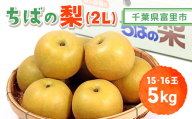 【2025年発送先行予約】【数量・期間限定】旬をお届け！富里市産 梨２L ５㎏（15,16玉）/ なし 梨 秋の味覚 産地直送 甘い 旨味 送料無料 期間限定 数量限定 JA JA富里 農協 ちば 千葉県産とみさと 富里 富里市 TMF009