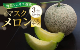 温暖な気候の渥美半島伊良湖の潮風と日照時間の長い太陽に恵まれ、甘みと旨み、なによりきめ細かく滑らかな食感にもこだわった芳醇な香り高いマスクメロンです。ホルモン剤は使用せず日本産ミツバチによる自然交配で