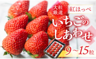 ≪先行予約≫【愛知県・田原産】ブランドいちご「いちごのしあわせ」約9粒～15粒  1月中お届け ／ 苺 イチゴ フルーツ 果物 農薬節減 愛知県 特産品 産地直送 田原市 渥美半島