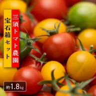 三須トマト農園　宝石箱セット（F21）