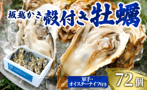 牡蠣 坂越かき 殻付き牡蠣 72個 軍手・オイスターナイフ付き[ 生牡蠣 かき カキ 殻付 生食 冬牡蠣 国産 ] 兵庫県 赤穂市 1484051 - 兵庫県赤穂市