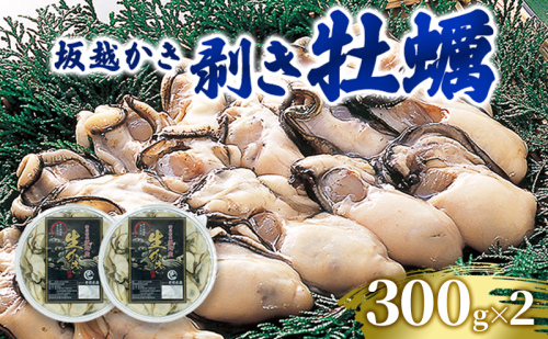 牡蠣 坂越かき 剥き牡蠣 300g×2[ 生牡蠣 かき カキ むき身 剥き身 生食 冬牡蠣 国産 ] 兵庫県 赤穂市 1484053 - 兵庫県赤穂市