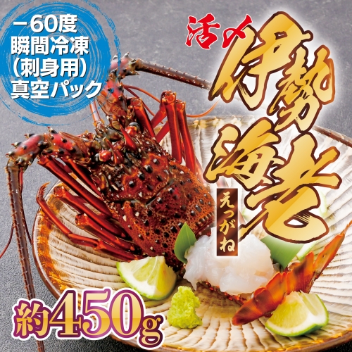 【活き〆冷凍】肝付町内之浦産　伊勢海老（えっがね）の刺身〈約450ｇ〉 148467 - 鹿児島県肝付町
