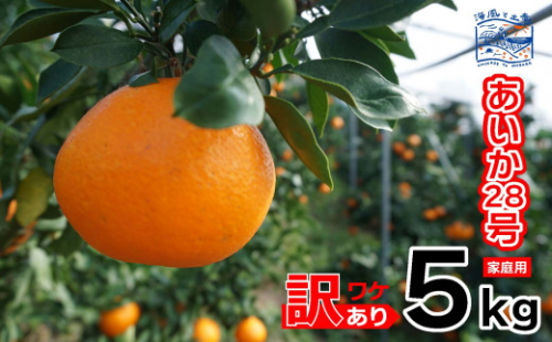 【2026年12月上旬頃から順次発送】訳あり あいか28号 (紅まどんな と同品種)  家庭用 ５kg ｜産地直送 国産 柑橘 期間限定 数量限定 ご当地 愛媛県 松山市