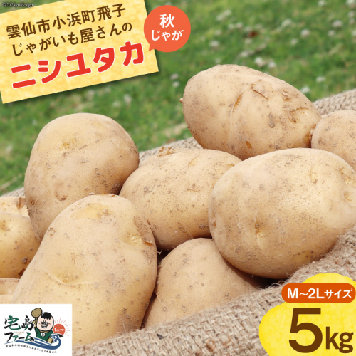 【期間限定発送】 じゃがいも ニシユタカ 5kg [宅島ファーム 長崎県 雲仙市 item1171] 野菜 ジャガイモ 5キロ 馬鈴薯 春じゃが 長崎県産 期間限定 1485158 - 長崎県雲仙市