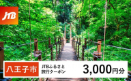 【八王子市】JTBふるさと旅行クーポン（Eメール発行）（3,000円分）