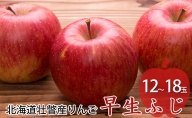 ＜2023年10月中旬よりお届け＞北海道壮瞥町　りんご　品種名「早生ふじ」12～18玉約5kg フルーツ 果物 りんご 果樹