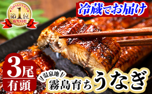 B-128-RZ ＜冷蔵でお届け＞霧島市育ちのあの「うなぎ」150～170g×3尾【田代水産】霧島市 鰻 蒲焼 国産 148610 - 鹿児島県霧島市