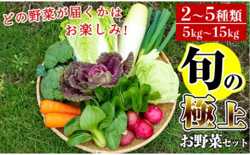 A-091 「極野菜」旬の極上お野菜セット【百姓道有元農場】 148611 - 鹿児島県霧島市