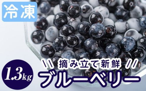 A-050 霧島市産ブルーベリー1.3kg(冷凍)【霧島農産加エグループふきのとう】 148616 - 鹿児島県霧島市