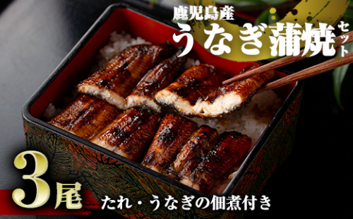 D-037 鹿児島産うなぎ蒲焼セット【うなぎの尾方】 148626 - 鹿児島県霧島市