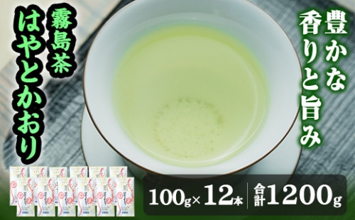 D-055 霧島茶はやとかおり雅12本セット【マル竹園製茶】 148689 - 鹿児島県霧島市