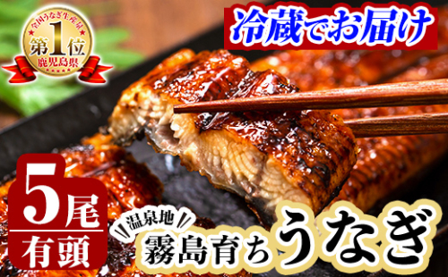 C-077-RZ ＜冷蔵でお届け＞霧島市育ちのあの「うなぎ」130～150g×5尾【田代水産】国産 霧島市 鰻 蒲焼き 148694 - 鹿児島県霧島市