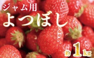 先行予約 訳あり いちご よつぼし 1kg ジャム用 加工用 果物 フルーツ 苺 ストロベリー ケーキ アイス シャーベット ジェラート ゼリー ジュース ジャム スムージー 洋菓子 和菓子 お菓子 おやつ フルーツサンド フルーツ大福 苺大福 不揃い 規格外 家庭用 人気 オススメ お取り寄せ グルメ 徳島県 阿波市 チタチタストロベリーファーム