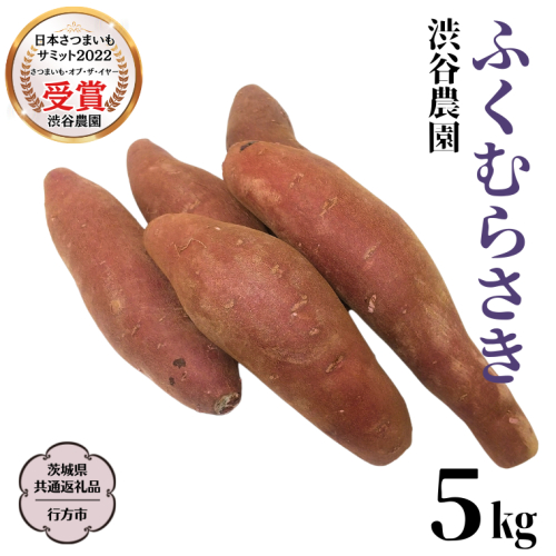 ふくむらさき 約5kg 【茨城県共通返礼品／行方市】2024年11月から発送開始 渋谷農園 さつまいも  いも 紫芋 芋 焼芋 [DT003sa] 1487237 - 茨城県桜川市