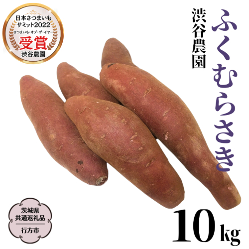 ふくむらさき 約10kg 【茨城県共通返礼品／行方市】2024年11月から発送開始 渋谷農園 さつまいも  いも 紫芋 芋 焼芋 [DT004sa] 1487238 - 茨城県桜川市