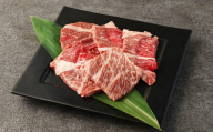 阿蘇あか牛 上ロース 約500g5袋 約100g×5袋 赤牛 和牛 国産牛 牛肉 牛 肉 お肉 ロース 上ロース 阿蘇