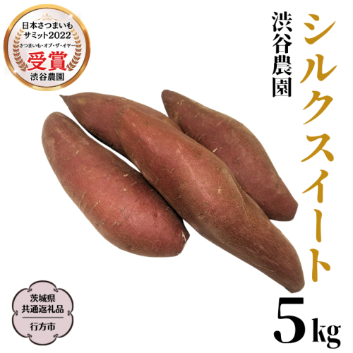 シルクスイート 約5kg 【茨城県共通返礼品／行方市】 2024年11月から発送開始 渋谷農園 さつまいも  いも 芋 焼芋 [DT009sa] 1487463 - 茨城県桜川市