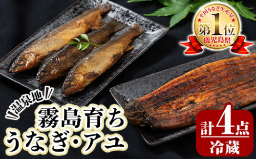 B0-160 数量限定！霧島市育ちのあの「うなぎ」と霧島アユ子持ち甘露煮詰め合わせ(計4点)【田代水産】 148771 - 鹿児島県霧島市