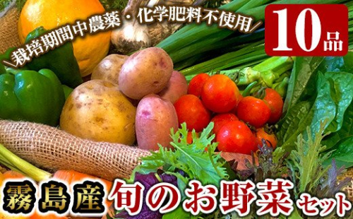 A2-011 霧島産！旬の野菜セット(季節の野菜10品)【有機ファームえん】 148791 - 鹿児島県霧島市