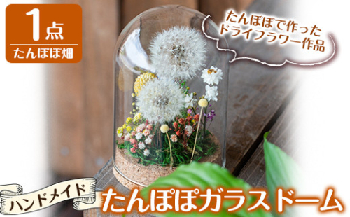 A0-257 たんぽぽガラスドーム・たんぽぽ畑(1点)【かわいち国分】 148797 - 鹿児島県霧島市