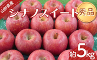 [令和6年産先行予約] りんご 「シナノスイート」 約5kg (12〜20玉 秀品) [令和6年10月上旬〜発送] 『カネタ髙橋青果』 リンゴ 山形県 南陽市 [2183]