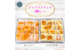 フルーツを練りこんだチョコレート生地に厳選したドライフルーツをトッピングしたチョコレートセットです。オレンジ、トロピカルの2種類をお届けします。「今までにないチョコレートを作りたい」を合言葉にチョコレ