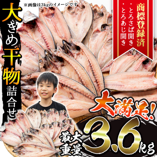 No.406 ＜選べる重量＞大きめ干物詰合せ＜合計2kg～3.6kg！＞ 干物 セット 詰め合わせ ひもの 魚介類 魚 おかず おつまみ お楽しみ 【みのだ食品】 1488899 - 鹿児島県日置市