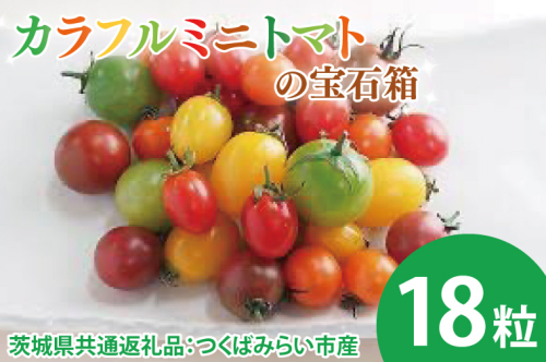 【先行予約】カラフルミニトマトの宝石箱 18粒（茨城県共通返礼品：つくばみらい市産）※2025年1月上旬～3月下旬頃に順次発送予定（CD092） 1489026 - 茨城県大子町